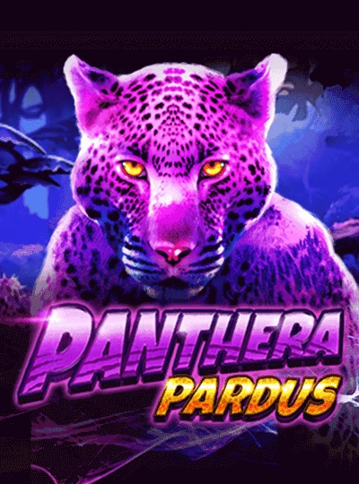 Classic video slot game cover